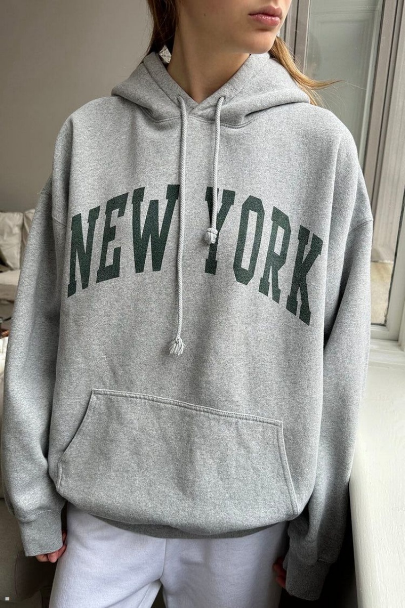 Sweat a Capuche Brandy Melville Christy New York Grise | WBS-10367361